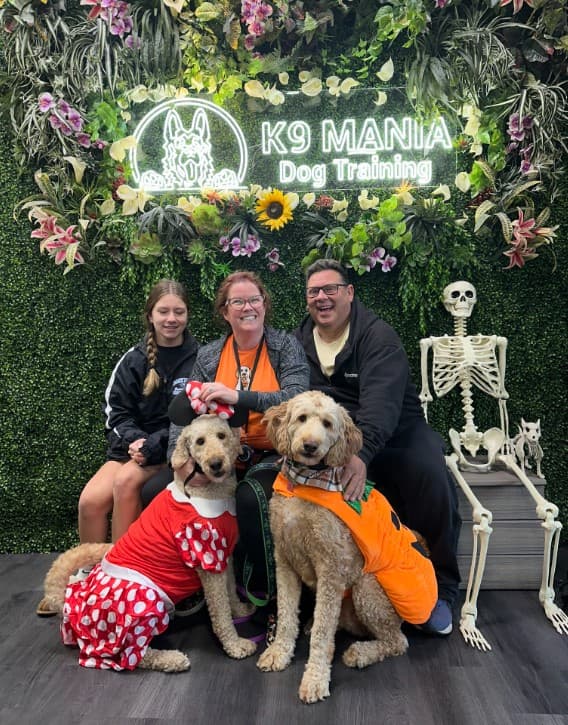 K9 Mania Dog Training