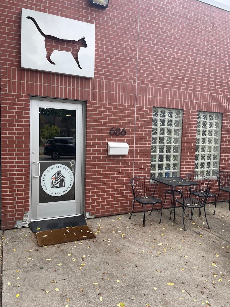 Catfe Lounge