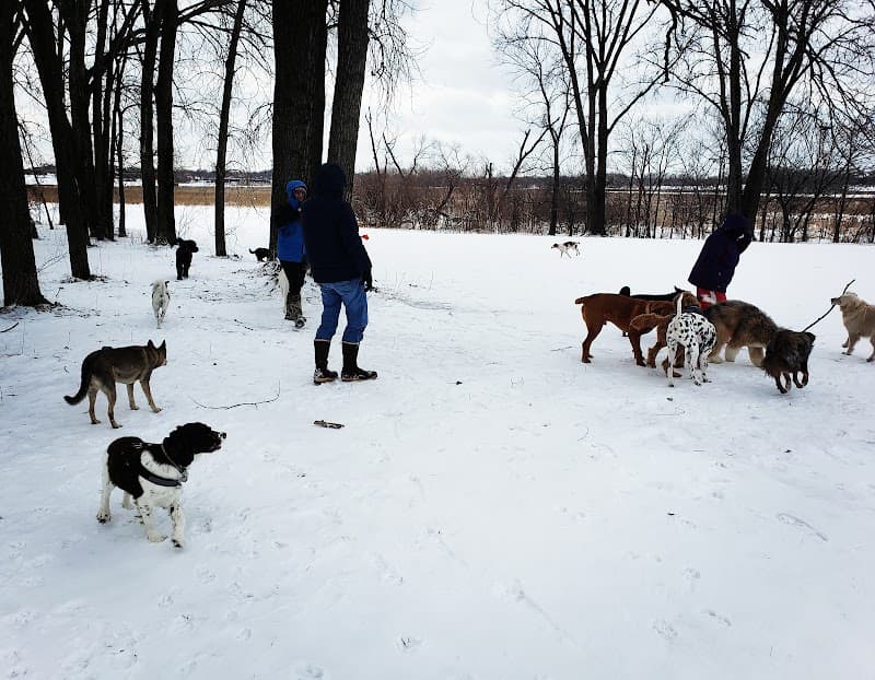 Airport Dog Park photo 2