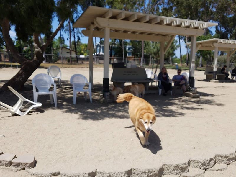 Canine Corners Dog Park photo 2