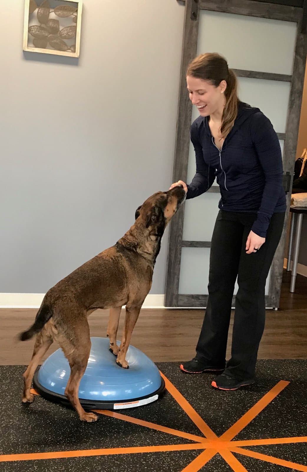 Canine PT and Me