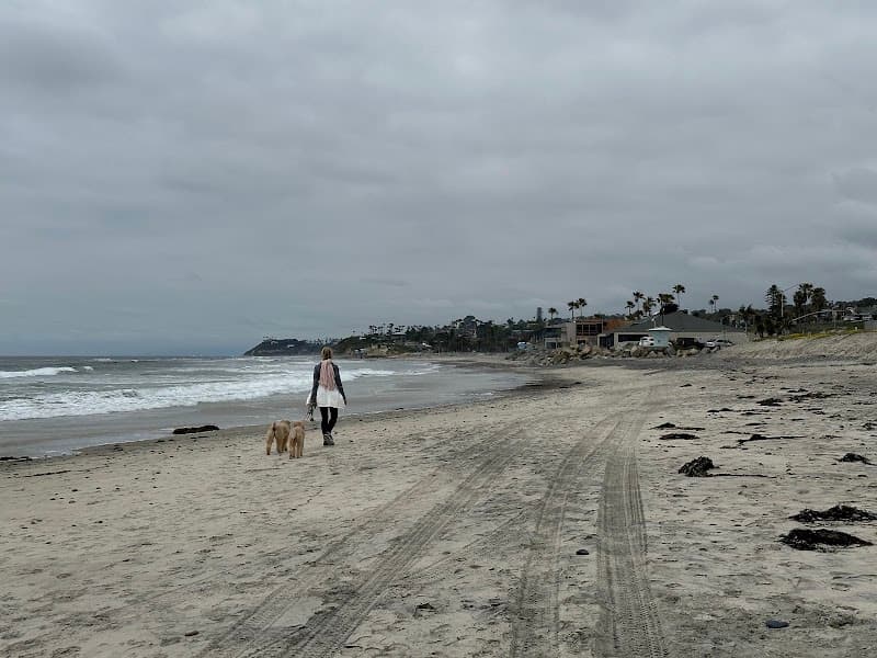 Cardiff State Beach