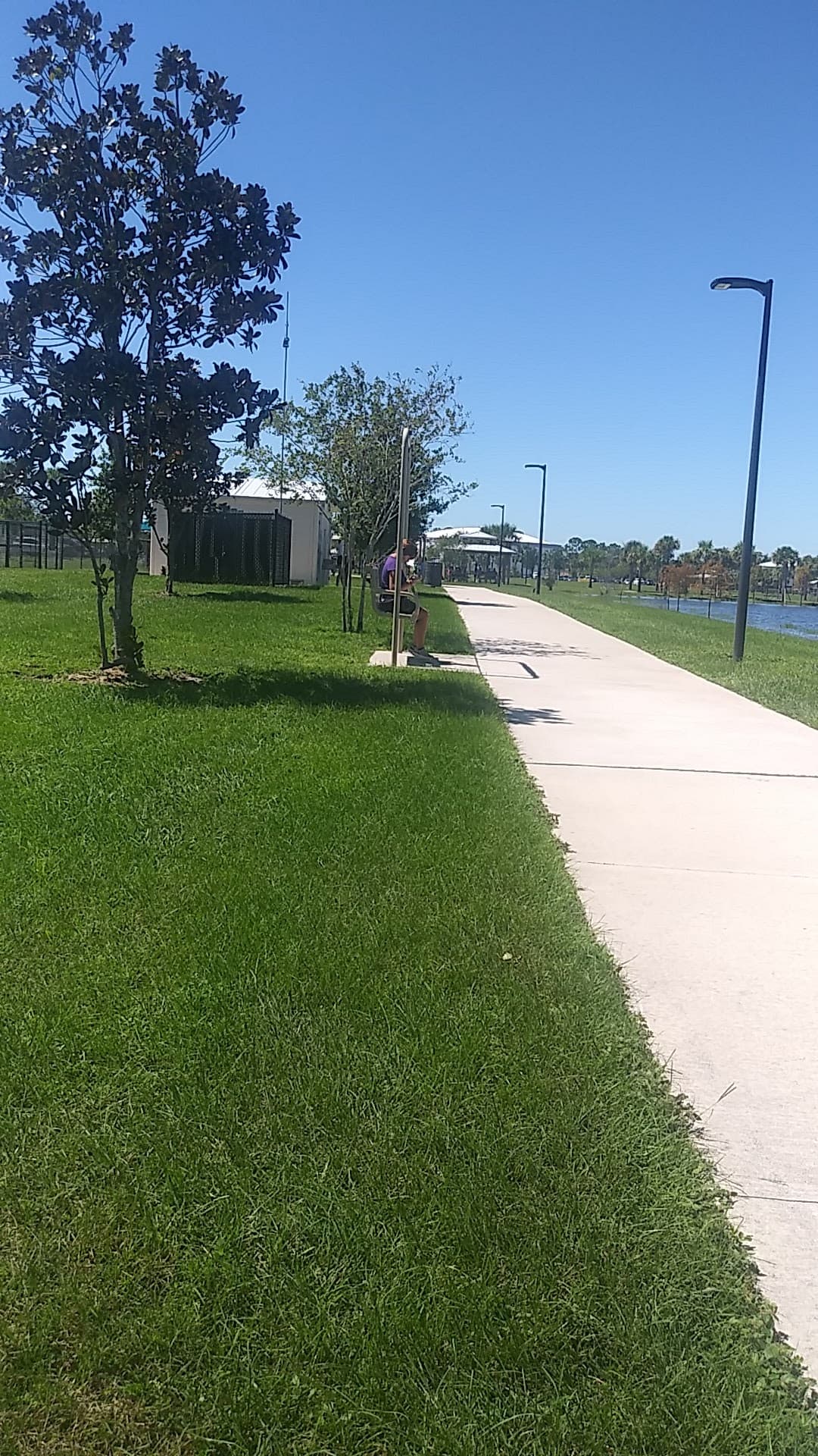 Carrollwood Village Dog Park