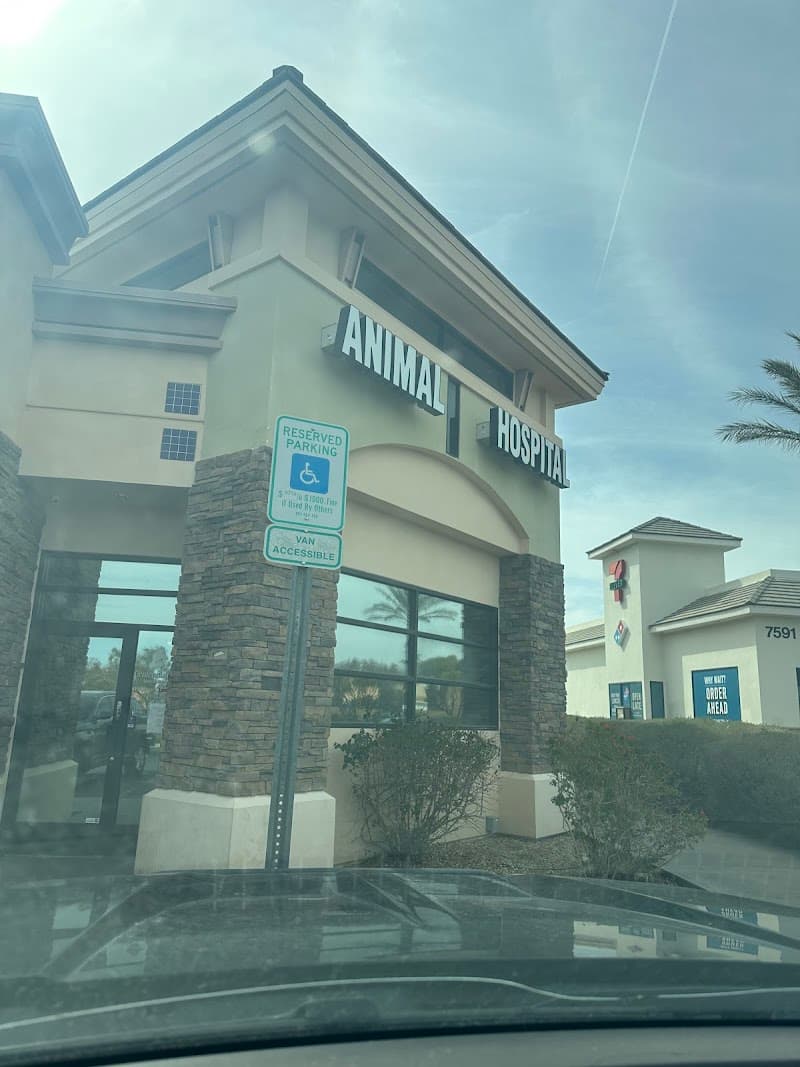 Centennial Hills Animal Hospital photo 2