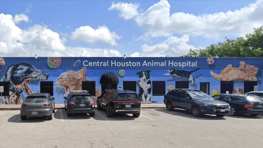 Central Houston Animal Hospital