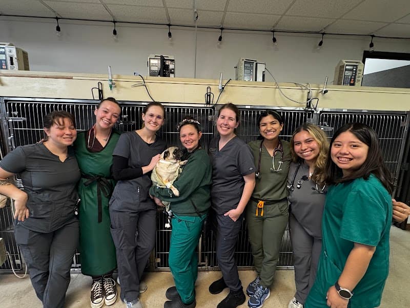 Central Texas Veterinary Speciality and Emergency Hospital