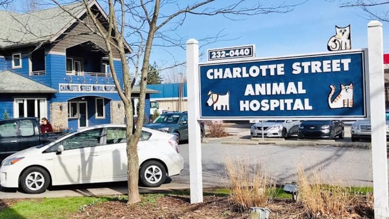 Charlotte Street Animal Hospital