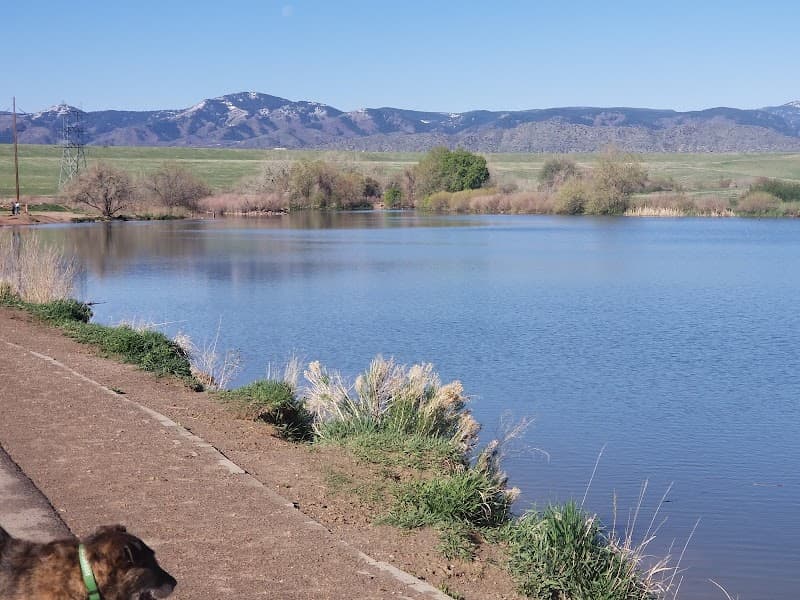 Chatfield Dog Park