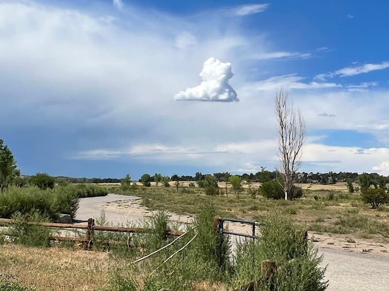 Cherry Creek Dog Off Leash Area (DOLA) photo 2