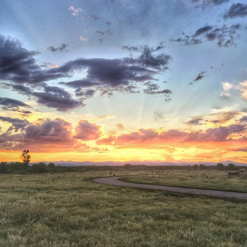 Cherry Creek Dog Off Leash Area (DOLA) photo 4
