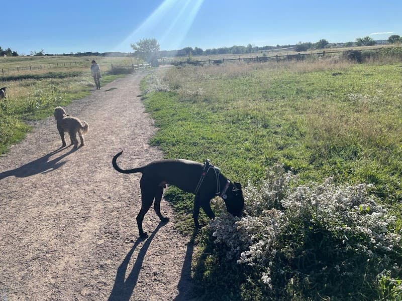 Cherry Creek Dog Off Leash Area (DOLA) photo 6