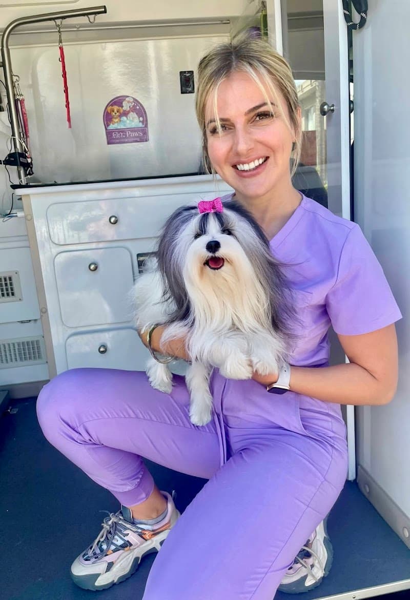 Chic Paws Pet Grooming