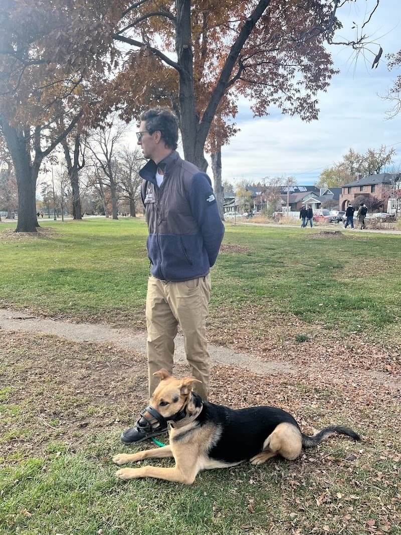 Chill Out Dog Training photo 2