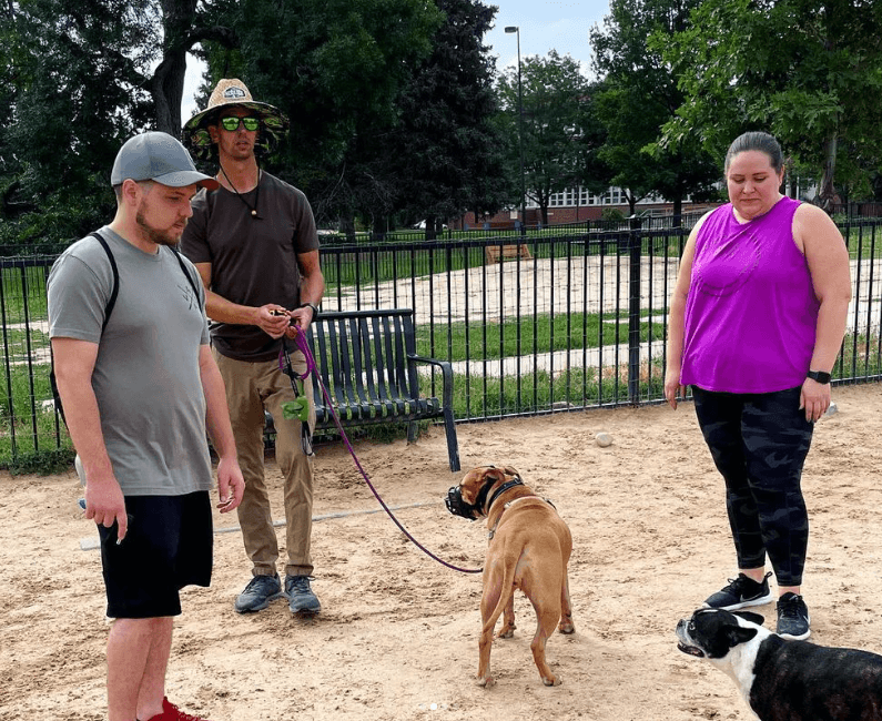 Chill Out Dog Training photo 4