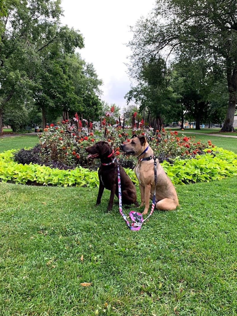Chill Out Dog Training photo 6