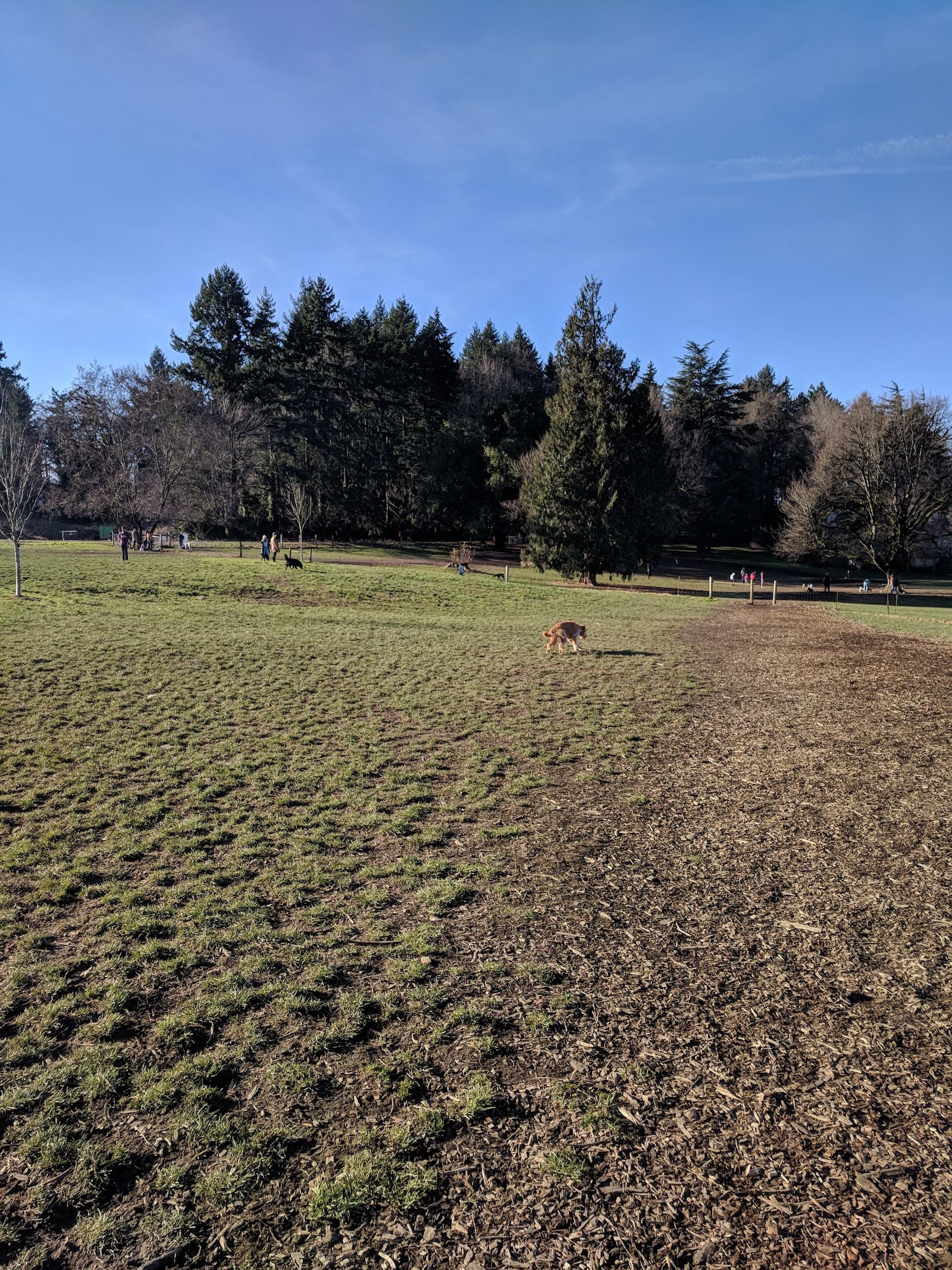 Chimney Park