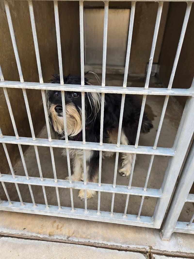 Chula Vista Animal Services