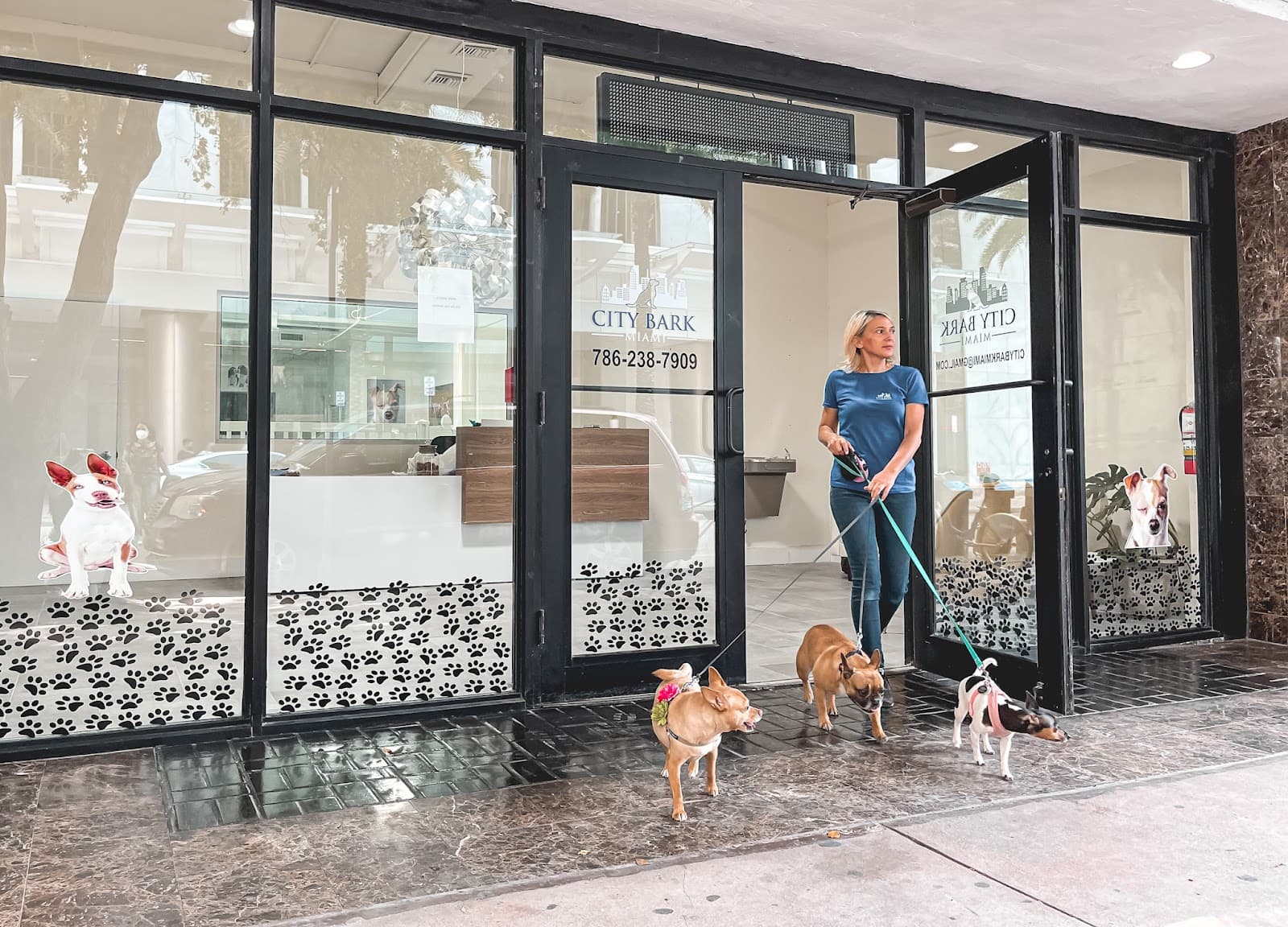 City Bark Miami