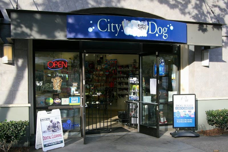 City Dog photo 2