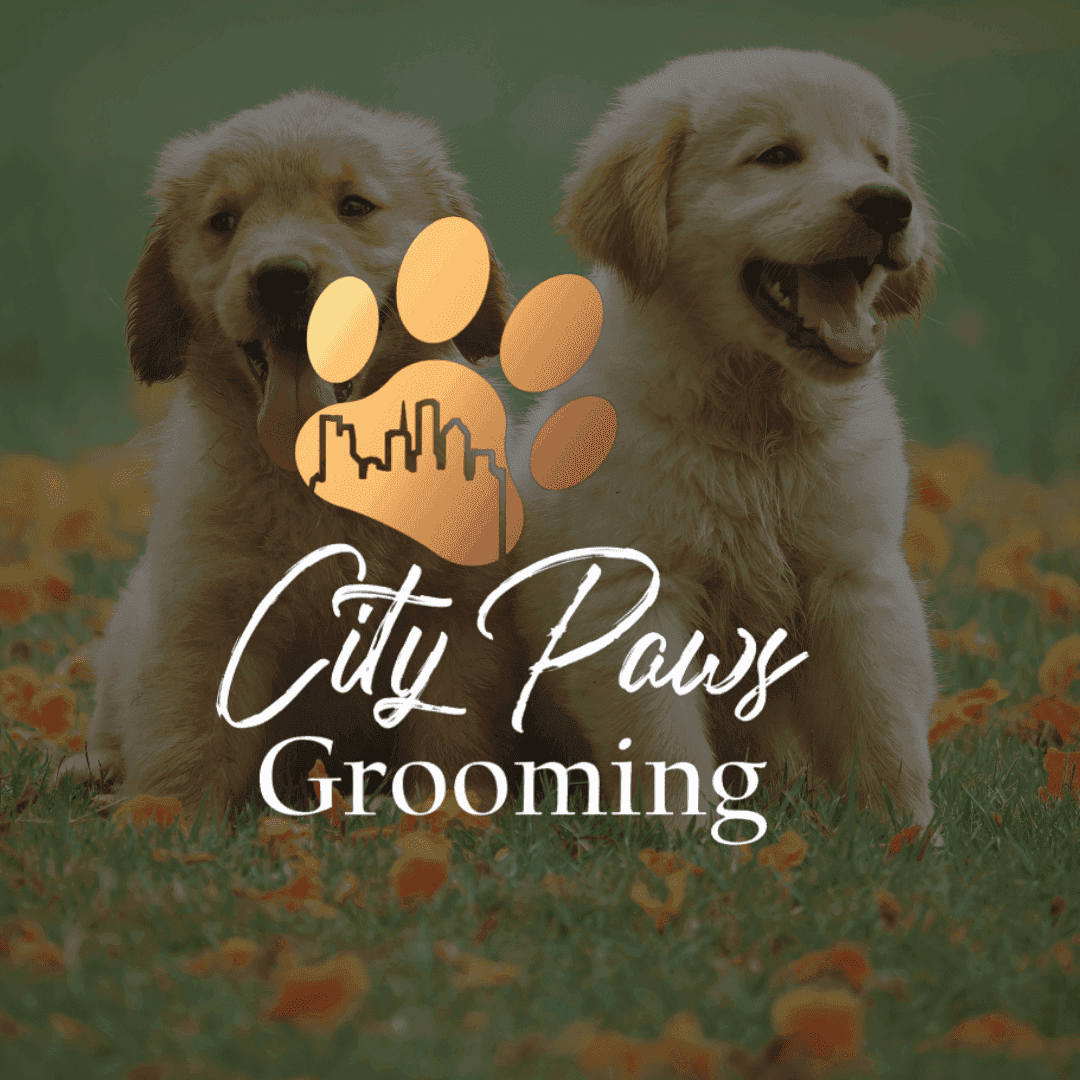 CityPaws Grooming