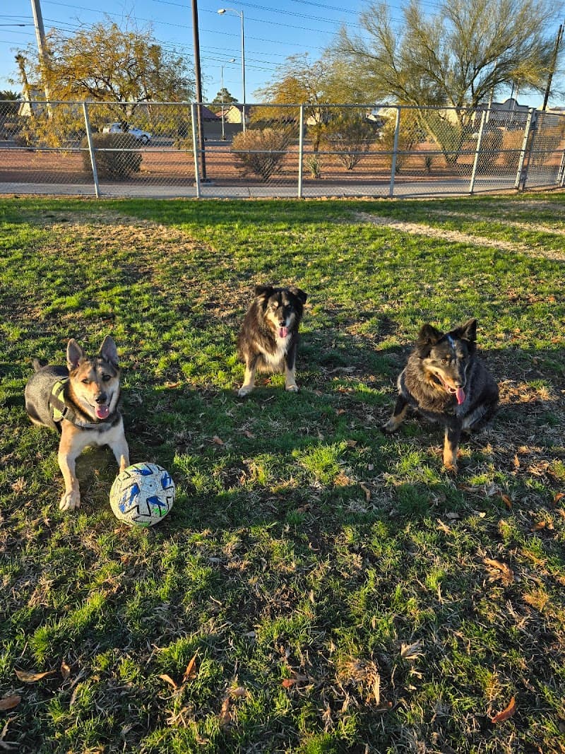 Clark County Dog Park at Spring Valley Community Park photo 2