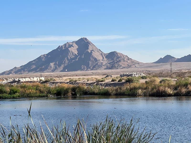 Clark County Wetlands Park photo 3