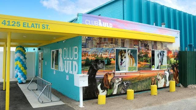 Club ULD - U Lucky Dog Daycare photo 2