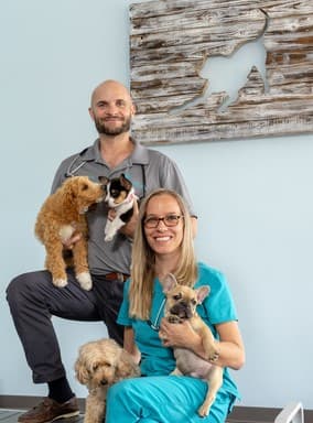 Coastal Animal Clinic - Tampa