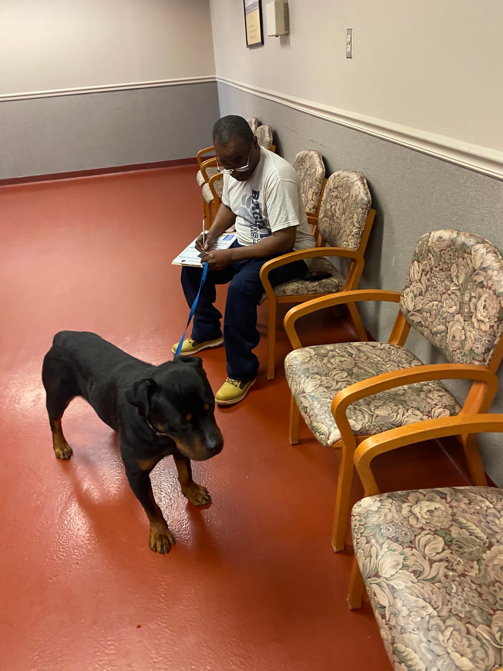 Cobb County Animal Services