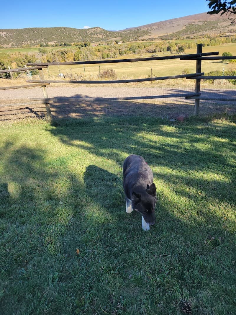 Colorado Animal Rescue photo 6