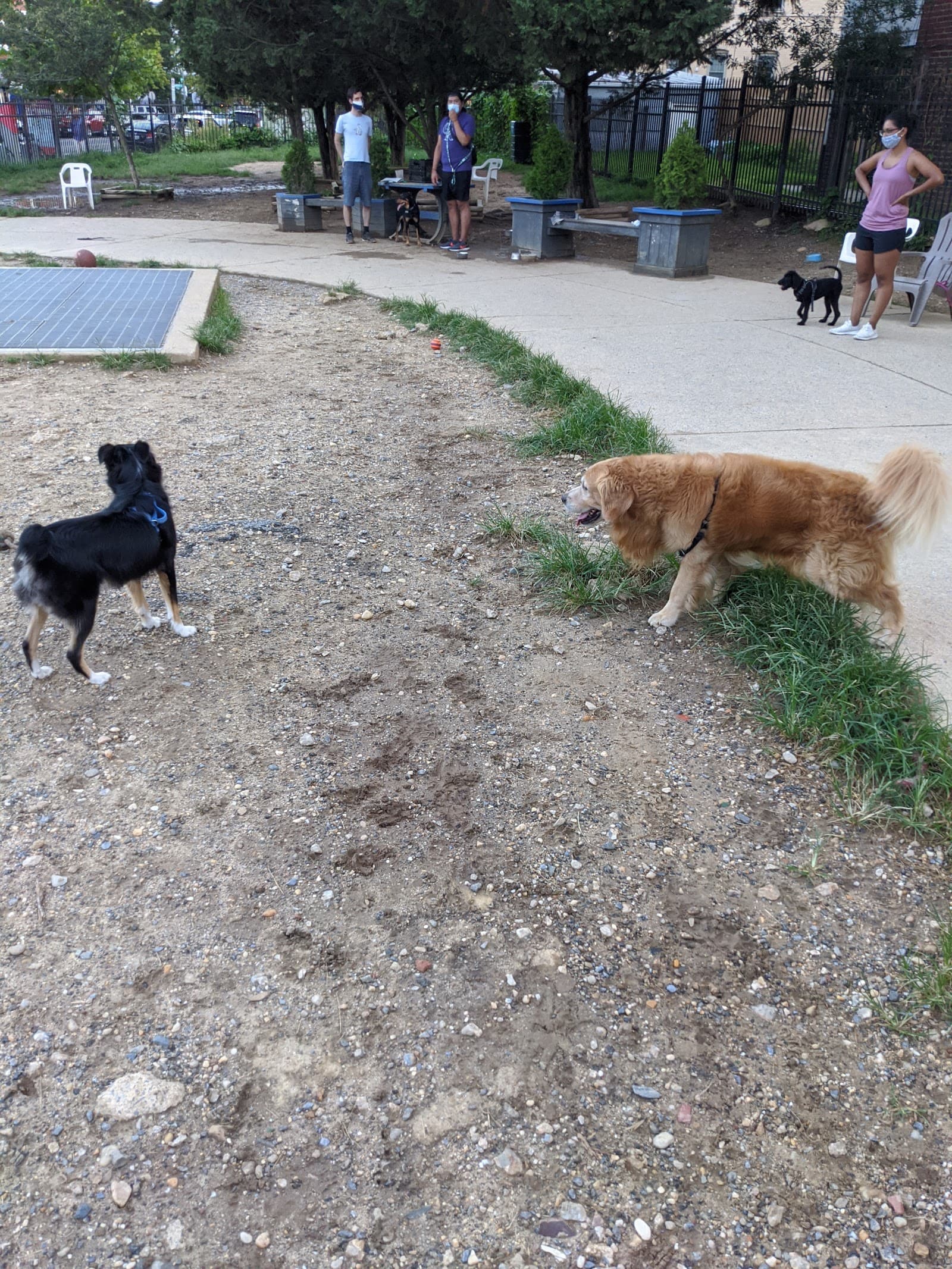 Columbia Heights Dog Park