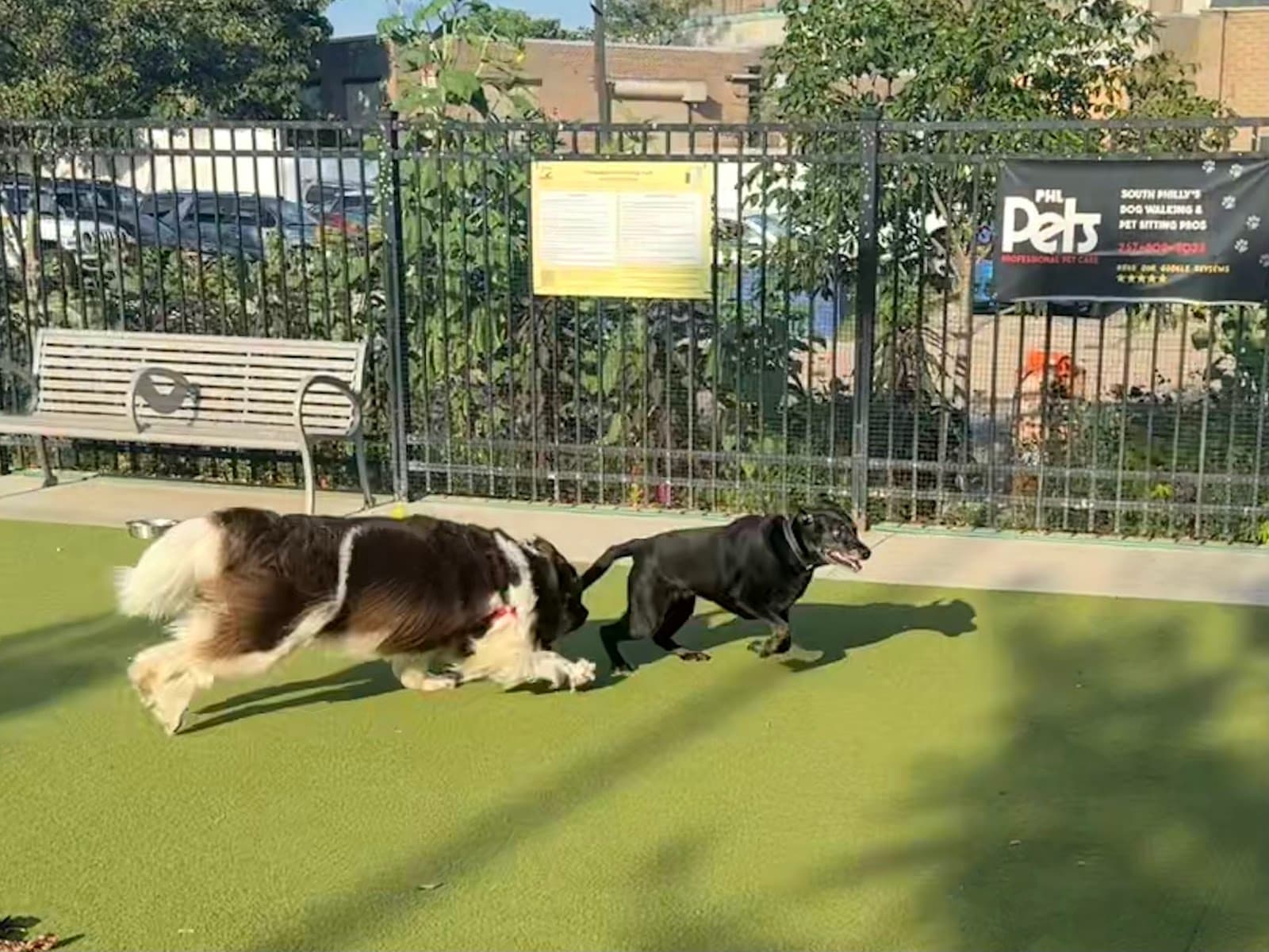 Columbus Square Dog Park
