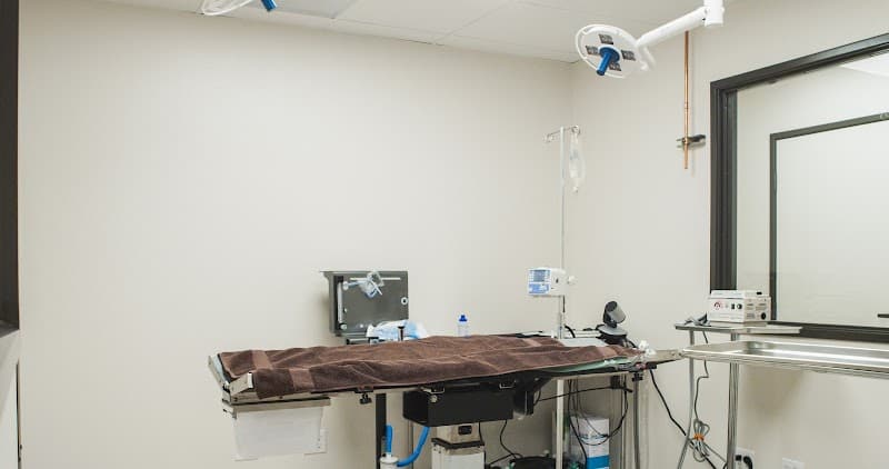 Companion Animal Health & Rehabilitation Center photo 2