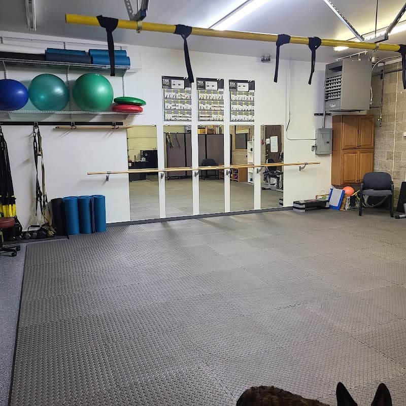 Comprehensive Physical Therapy and Comprehensive Canine Physical Therapy photo 3