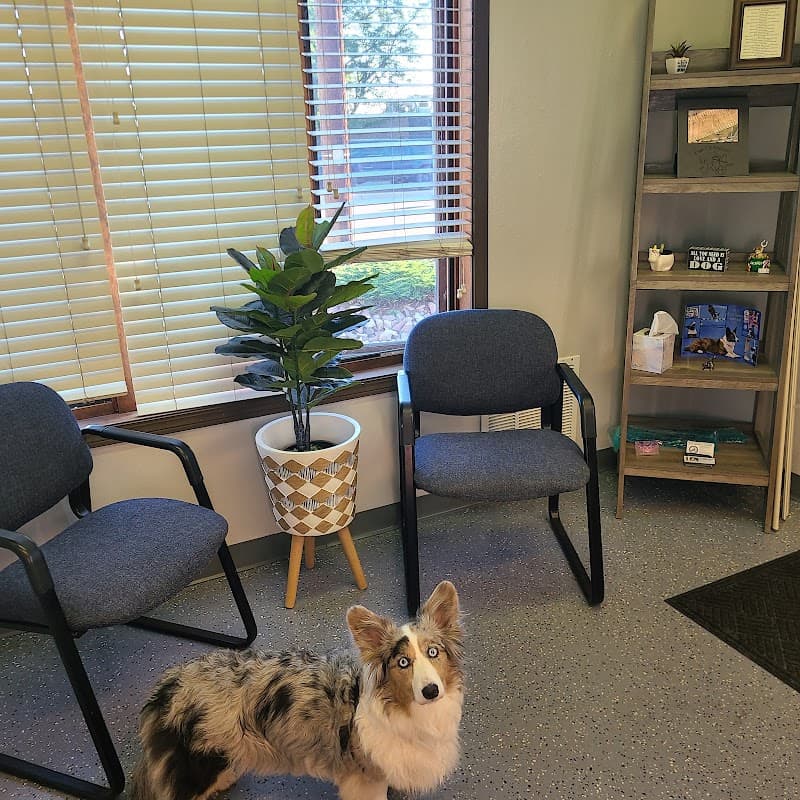 Comprehensive Physical Therapy and Comprehensive Canine Physical Therapy photo 4