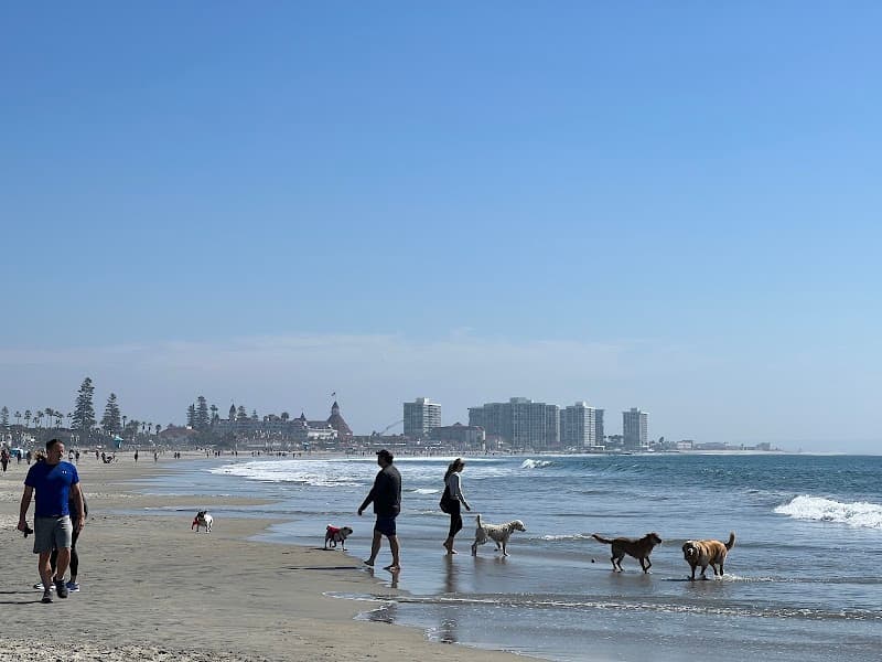 Coronado Dog Beach photo 2