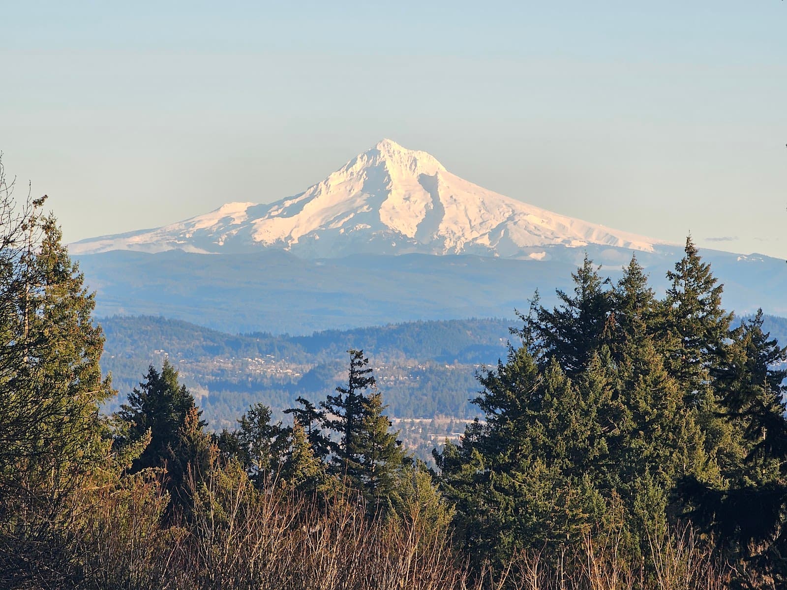 Council Crest Park