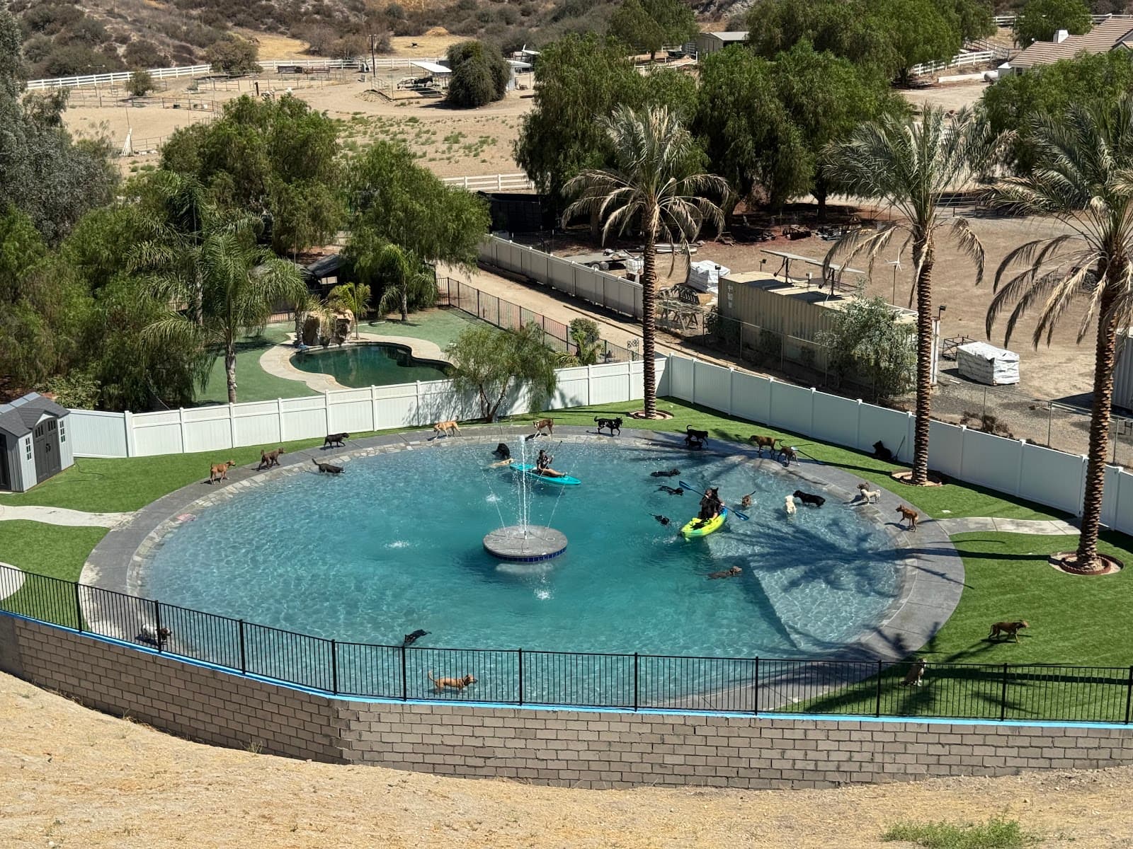 Country Dog Ranch boarding waterpark