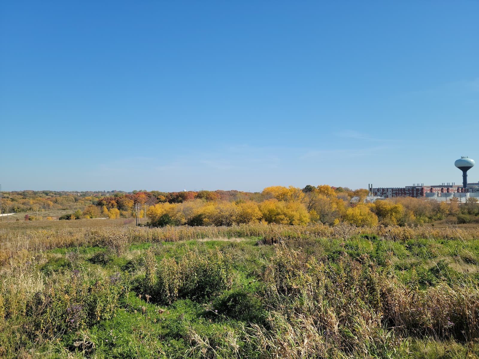 County Grounds Park