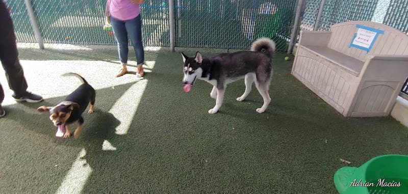 County of San Diego Department of Animal Services photo 2