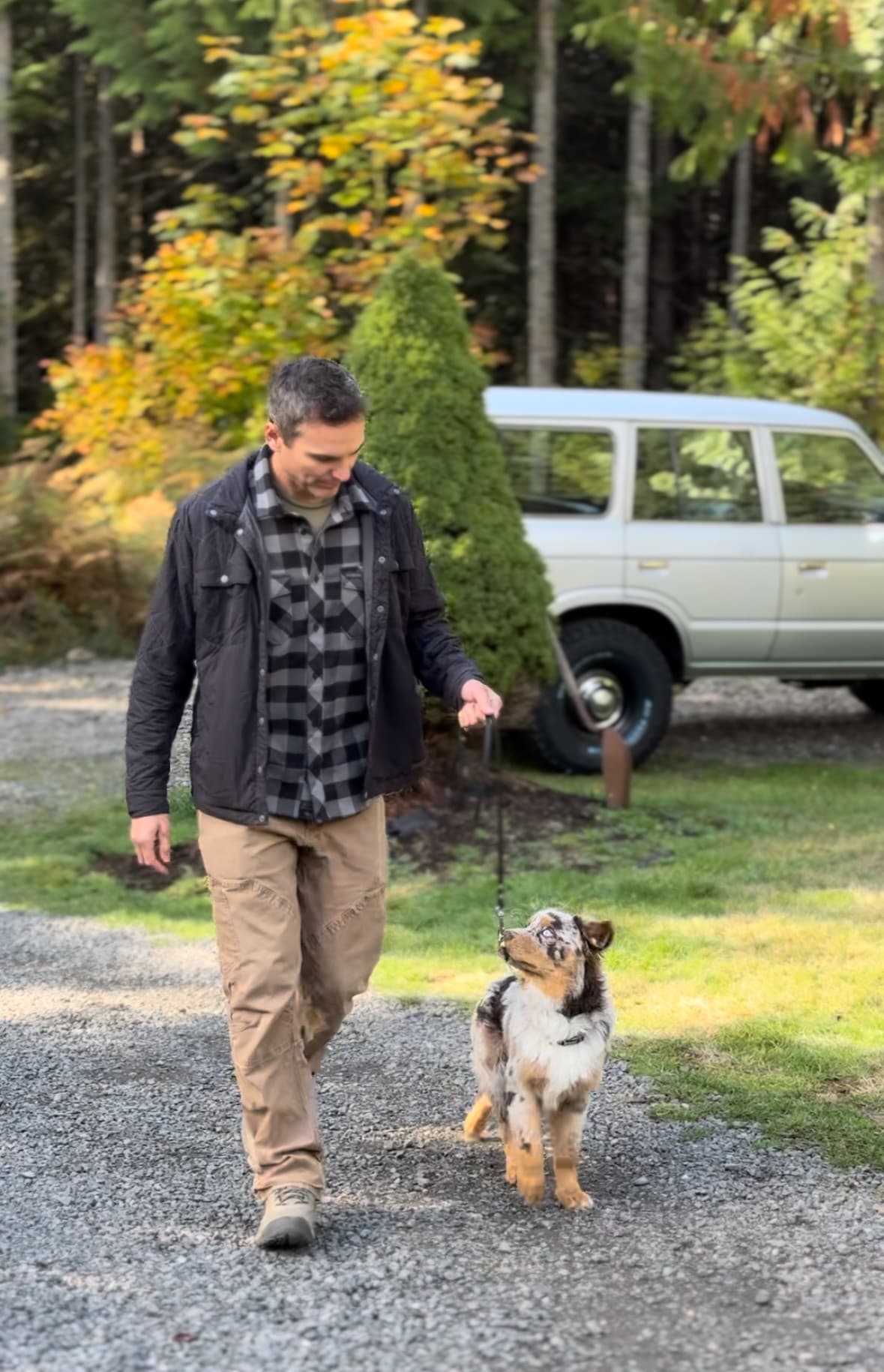 Curated Canines Dog Training
