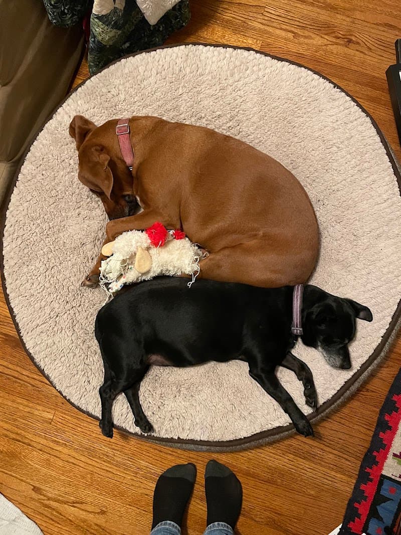 Great River Pet Center photo 2