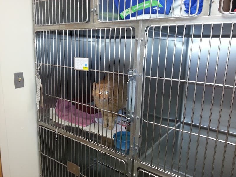 VCA Boulder Terrace Animal Hospital photo 2