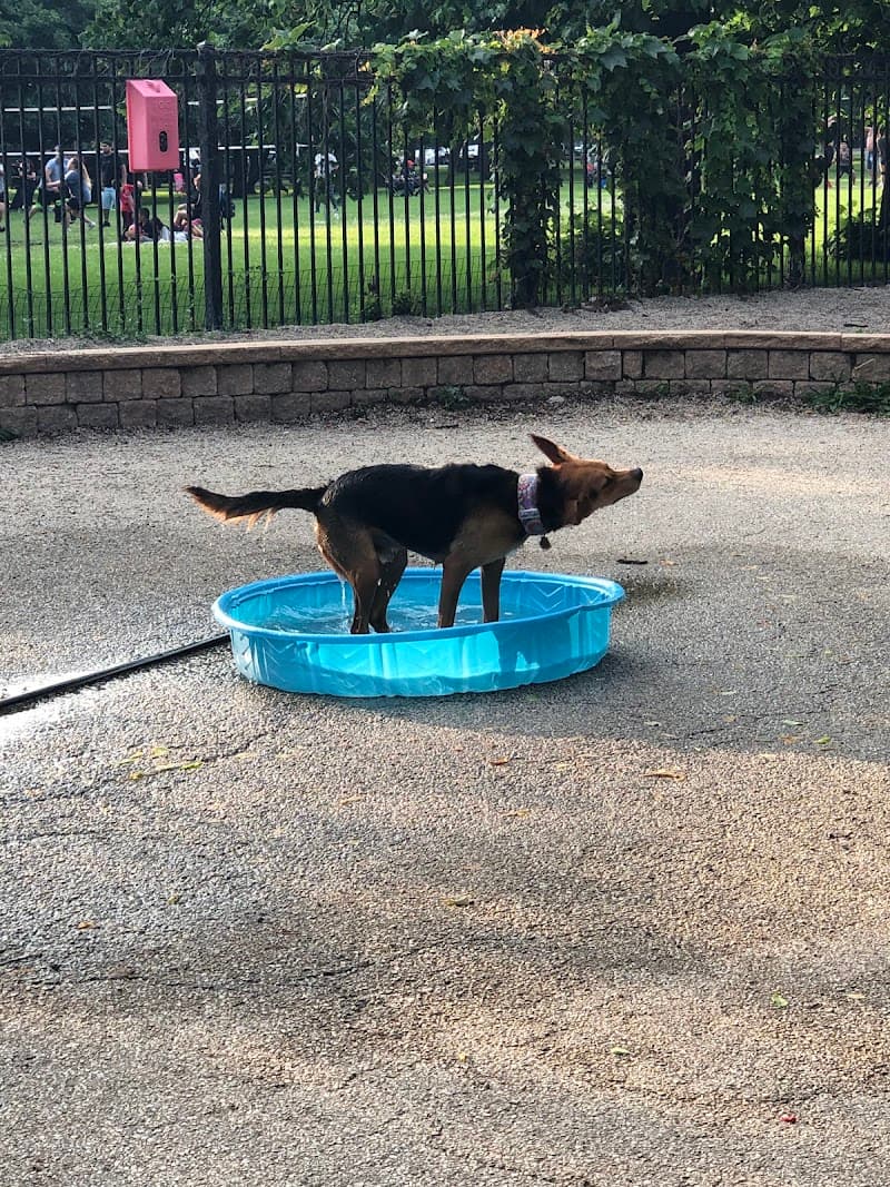 Puptown