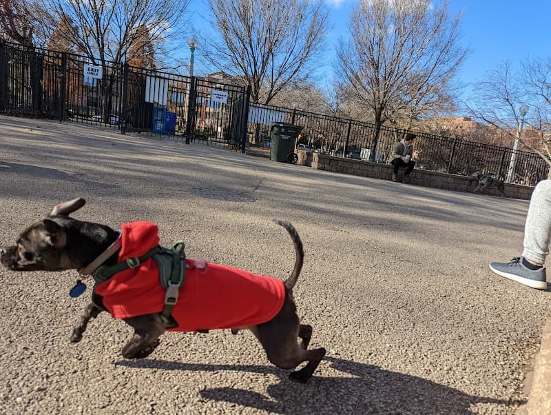 Puptown photo 2