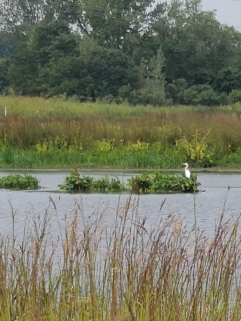 Whalon Lake Dog Park photo 2