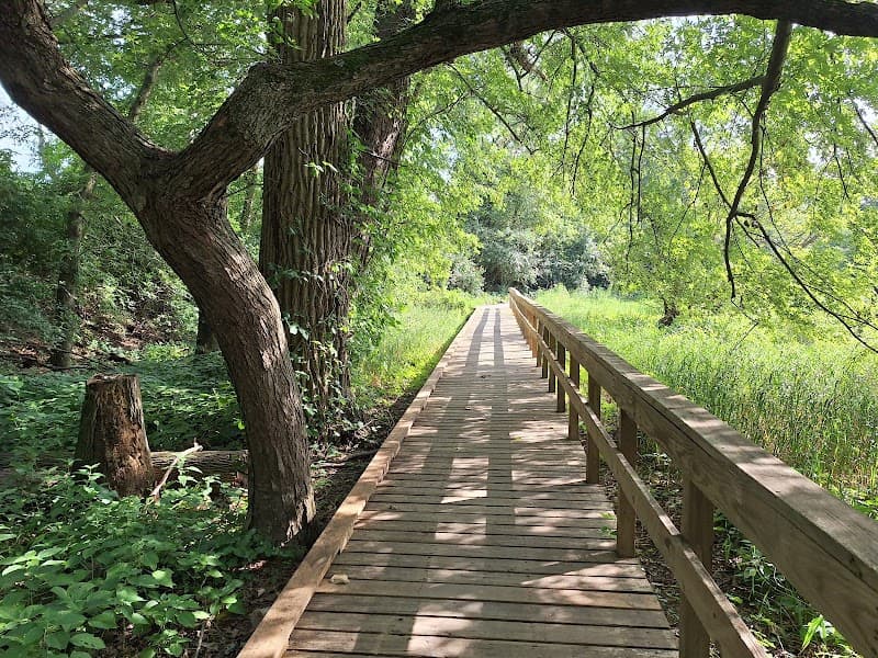 Bullwinkles N Whispers Wagging Trails photo 3