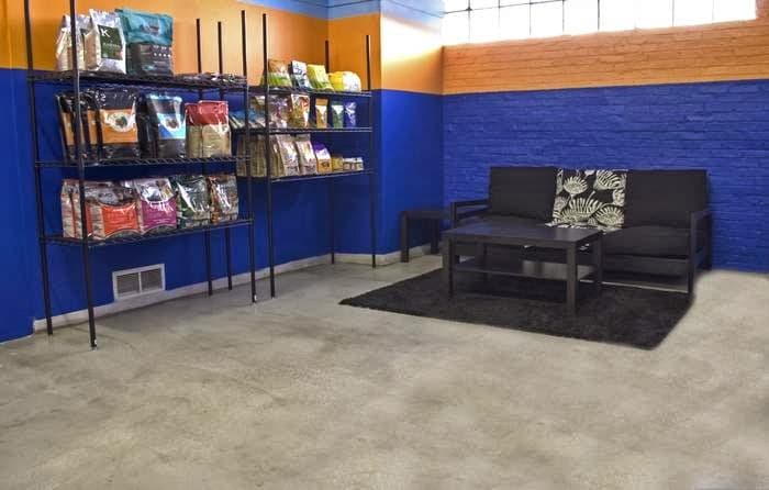 All Star Pet Care photo 2