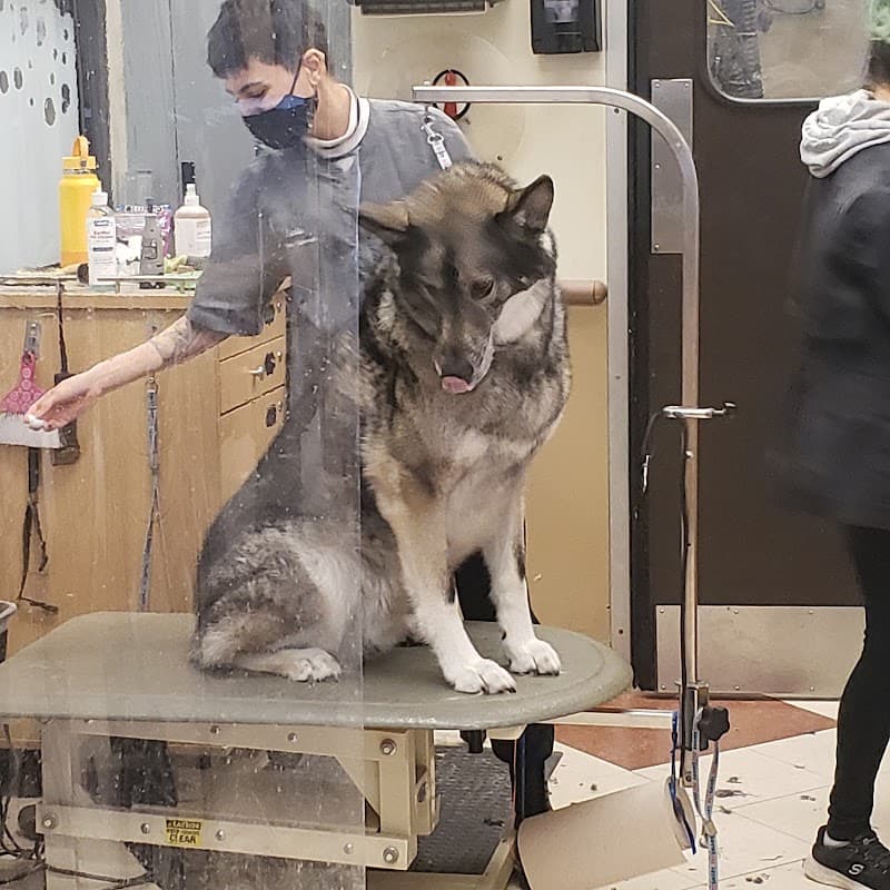 PetSmart photo 3