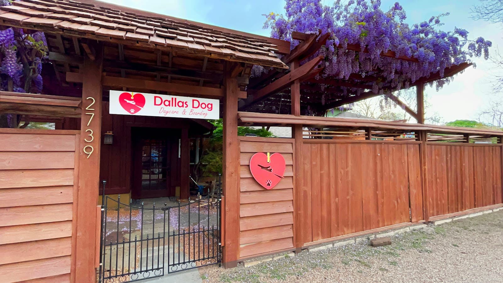 Dallas Dog Daycare and Boarding